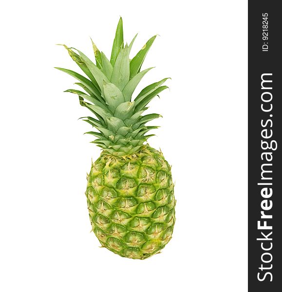 Large pineappel on white background. Large pineappel on white background