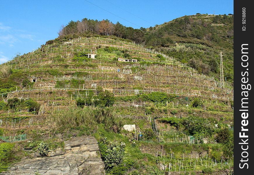 Panoramic view  of cinque terre - italy