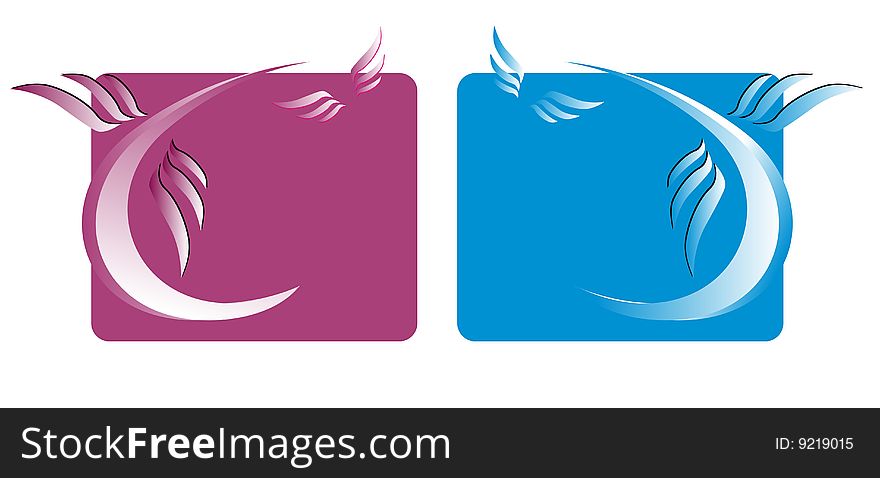 Floral backgrounds card vector elemants