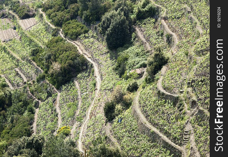 Panoramic view  of cinque terre - italy