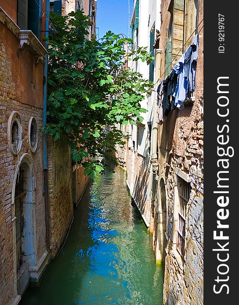 Small venetian canal in summer, Venice. Small venetian canal in summer, Venice