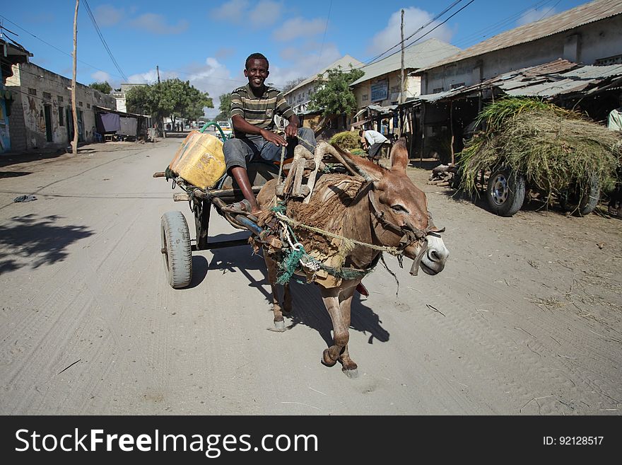 SOMALIA, Kismayo: In a photogaph taken 12 October 2013 and released by the African Union-United Nations Information Support Team 15 October, a man rides a donkey-drawn cart down a street during a patrol by Kenyan soldiers serving with the African Union Mission in Somalia &#x28;AMISOM&#x29; in the southern Somali port city of Kismayo. October 16 marks two years since the Kenya Defense Force first intervened in Somalia under Operation Linda Nchi - meaning Operation Protect the Country in Kiswahili - following a series of kidnappings and cross-border raids along the Kenya-Somalia border by the Al-Qaeda-affiliated terrorist group Al Shabaab. KDF forces were fully integrated into the African Union mission on 22 February 2012 and saw them capture the strategically and economiclly important port city of Kismayo from Al Shabaab in early October 2012 after a sustained 6-month advance across southern Somalia. AU/UN IST PHOTO / RAMADAN MOHAMED HASSAN. SOMALIA, Kismayo: In a photogaph taken 12 October 2013 and released by the African Union-United Nations Information Support Team 15 October, a man rides a donkey-drawn cart down a street during a patrol by Kenyan soldiers serving with the African Union Mission in Somalia &#x28;AMISOM&#x29; in the southern Somali port city of Kismayo. October 16 marks two years since the Kenya Defense Force first intervened in Somalia under Operation Linda Nchi - meaning Operation Protect the Country in Kiswahili - following a series of kidnappings and cross-border raids along the Kenya-Somalia border by the Al-Qaeda-affiliated terrorist group Al Shabaab. KDF forces were fully integrated into the African Union mission on 22 February 2012 and saw them capture the strategically and economiclly important port city of Kismayo from Al Shabaab in early October 2012 after a sustained 6-month advance across southern Somalia. AU/UN IST PHOTO / RAMADAN MOHAMED HASSAN.