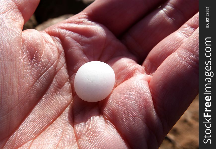 The cutest little beach stone