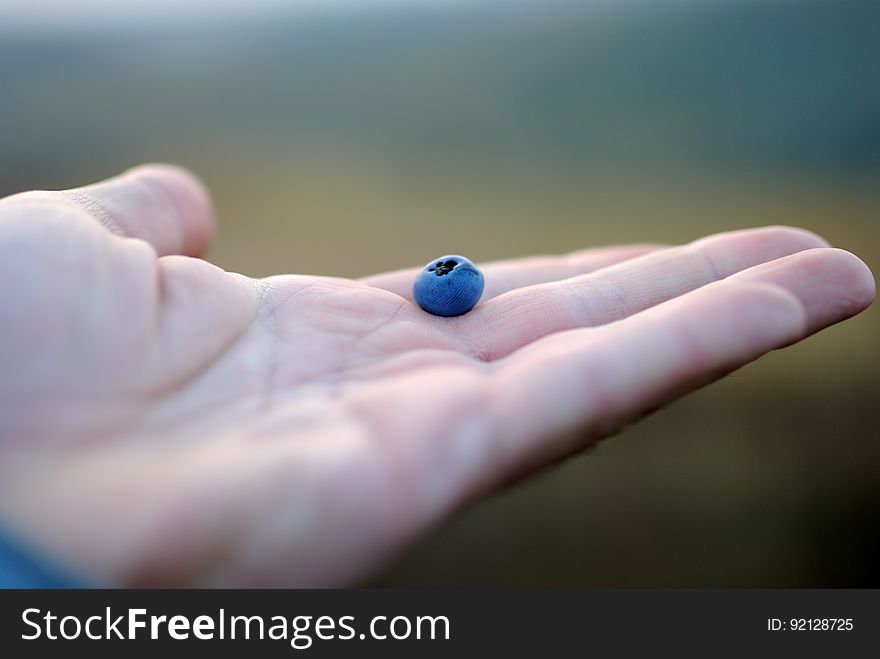 Open Hand Holding A Blueberry