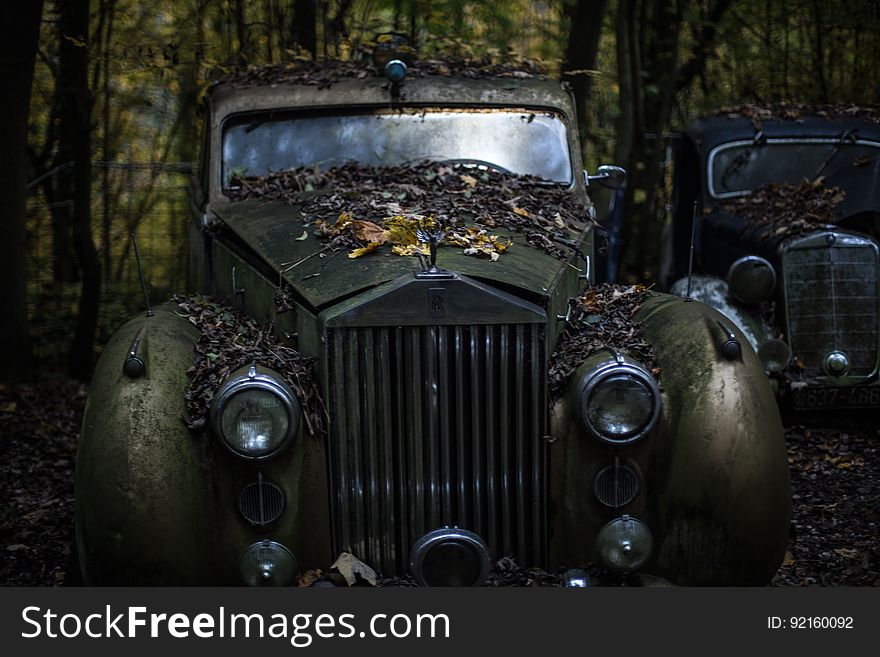 Green Classic Car in the Forest