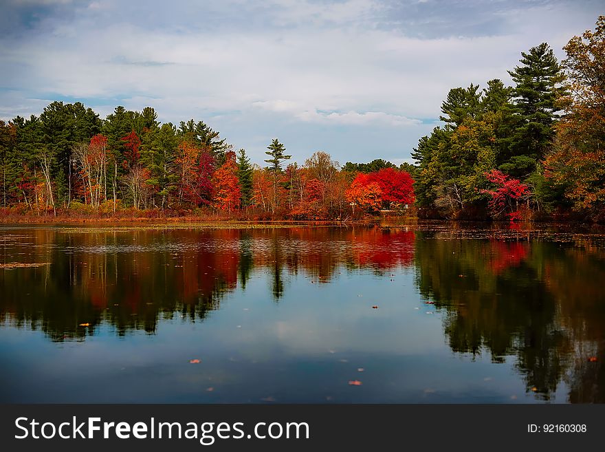 A placid lake with autumn trees on the shores. A placid lake with autumn trees on the shores.