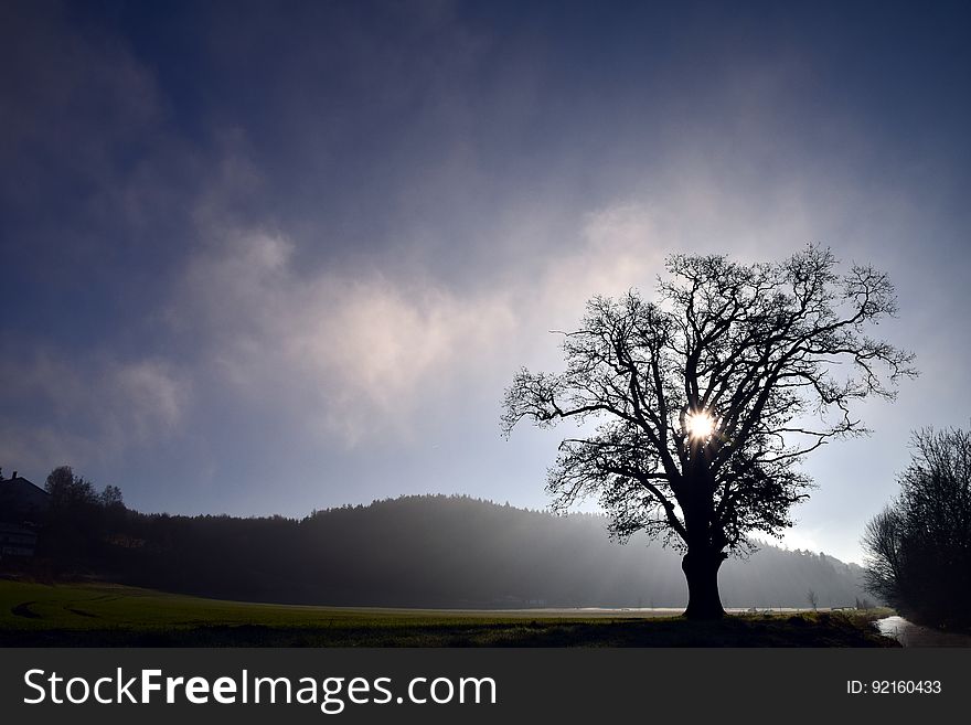 A tree on a field with mountains in the distance at sunset. A tree on a field with mountains in the distance at sunset.