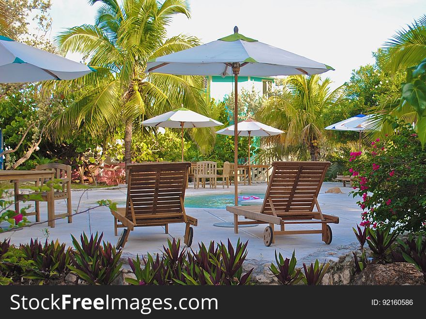 A tropical resort with swimming pool and sun loungers. A tropical resort with swimming pool and sun loungers.