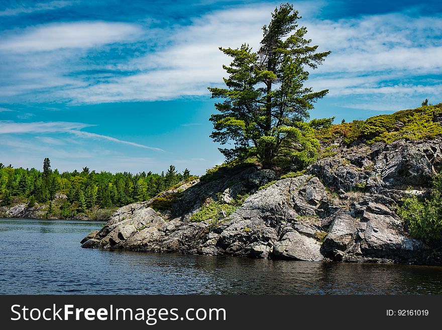 Pine trees growing on rocky shoreline with blue waters and sky on sunny day. Pine trees growing on rocky shoreline with blue waters and sky on sunny day.