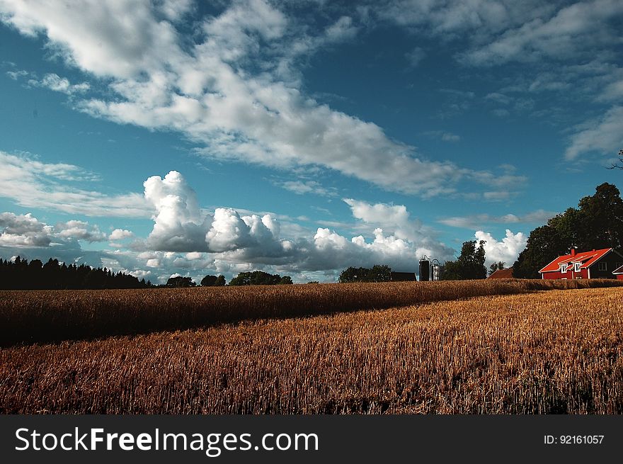 Red farm house in field of crops in rural countryside against blue skies with clouds. Red farm house in field of crops in rural countryside against blue skies with clouds.