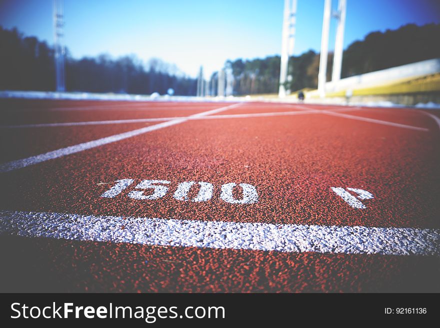 A close up of the surface of a running track.