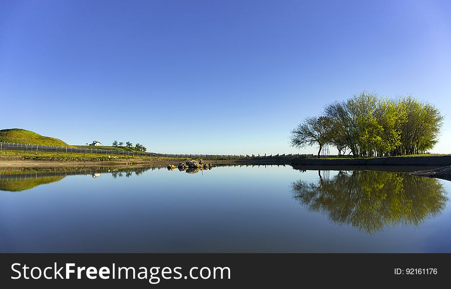 Reflection Of Tree In Clear Blue Waters