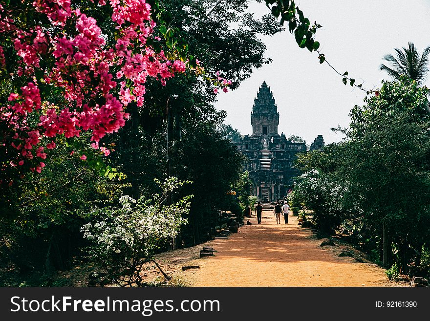 Angkor Wat1