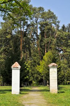 Tree Path Royalty Free Stock Images Tree Path Royalty Free Stock Images