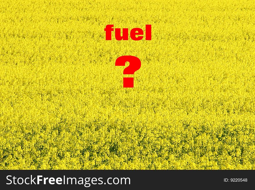 Yellow field of oilseed and text. Yellow field of oilseed and text