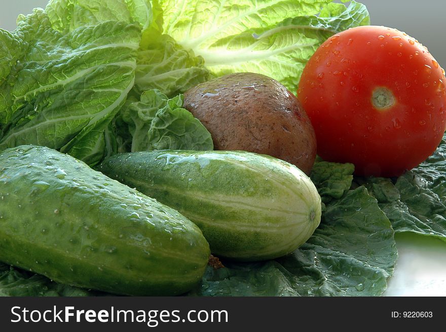 Tomato, potato and cucumbers on salad leaves. Tomato, potato and cucumbers on salad leaves