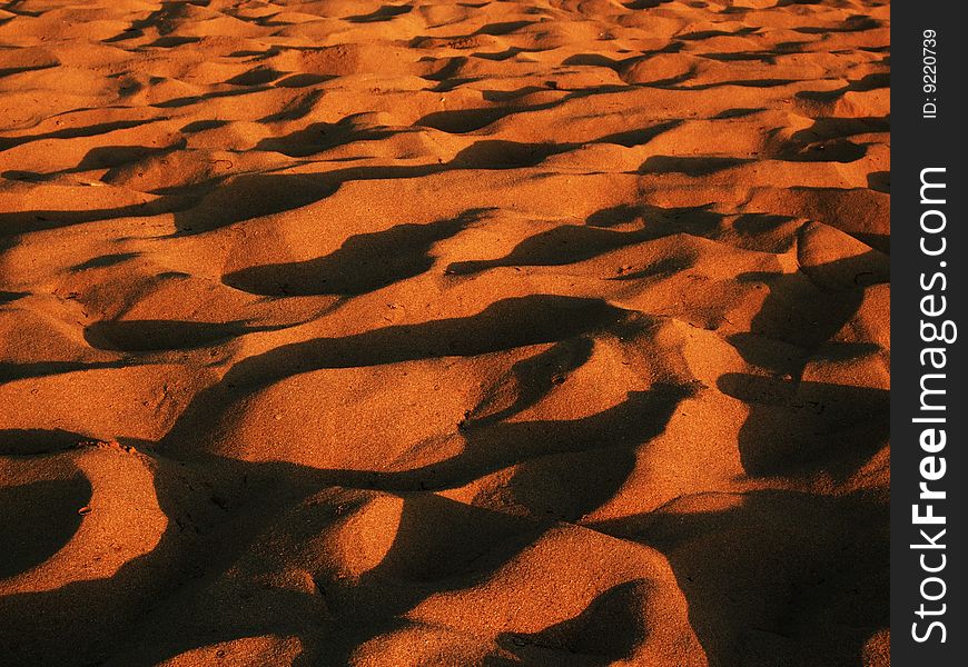 The beach by sunset light. The beach by sunset light