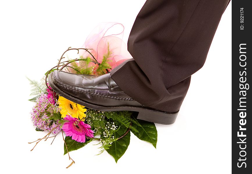 Man treads flowers on white. Man treads flowers on white