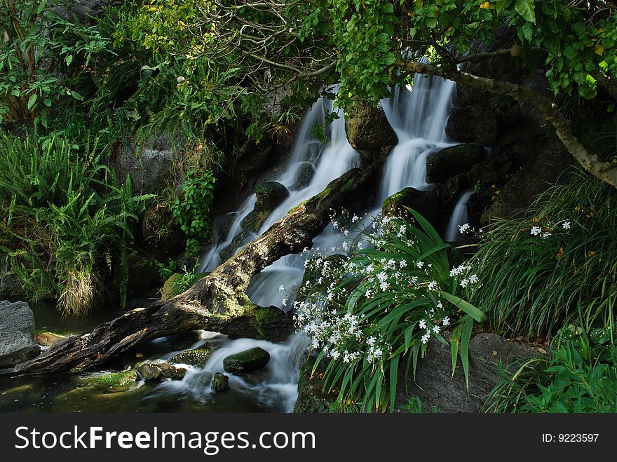 A waterfall with a fallen tree in it. A waterfall with a fallen tree in it