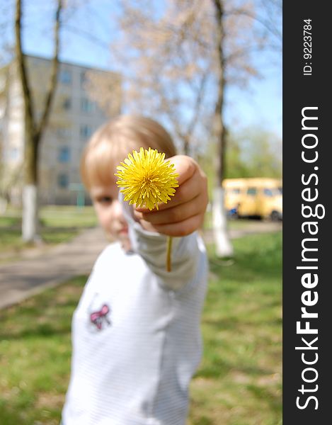 Little beautiful girl handing yellow  dandelion. Little beautiful girl handing yellow  dandelion