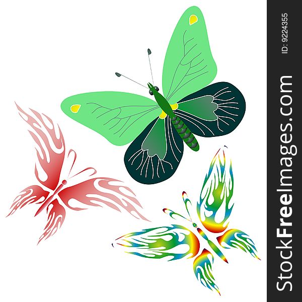Miltie colored butterflies.Vector illustration. Miltie colored butterflies.Vector illustration