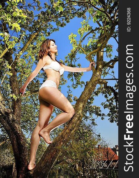 Bikini Girl And Tree