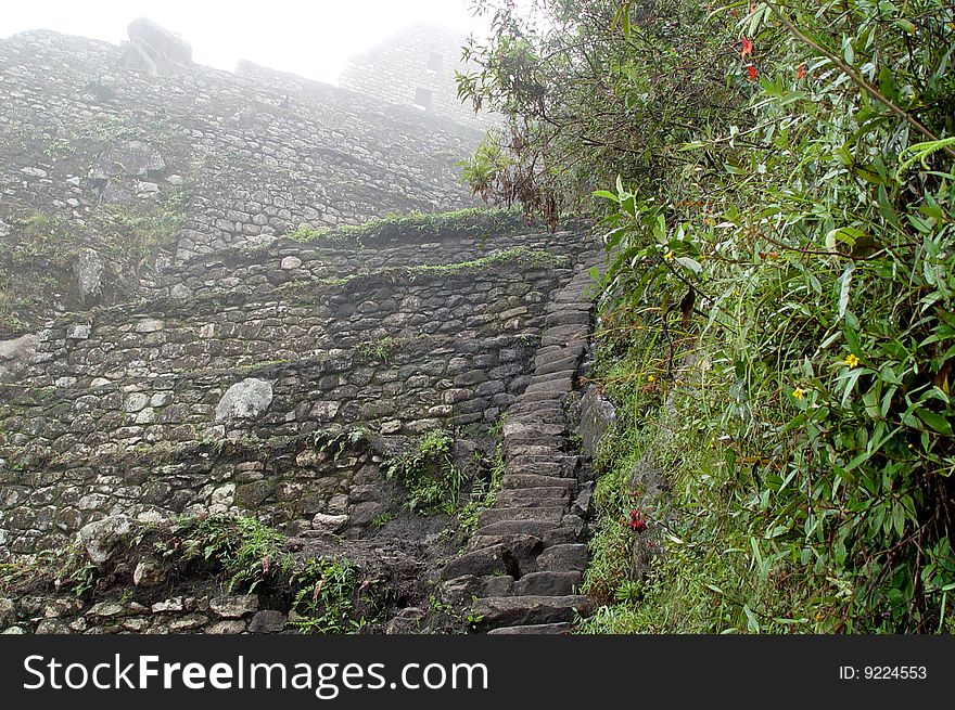 The is near the top of the mounting you see in classic pictures of Macchu Picchu. It is called Wuayna Picchu. The little stones to the right of the photo are the steps. They are tiny. Only my toes would fit on them.