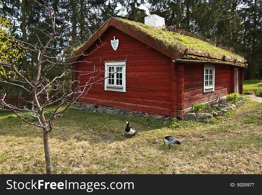 Scene from old swedish life