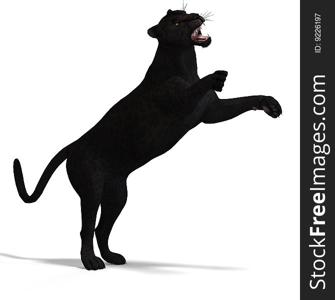 Dangerous Big Cat Black Leopard With Clipping Path Over White. Dangerous Big Cat Black Leopard With Clipping Path Over White