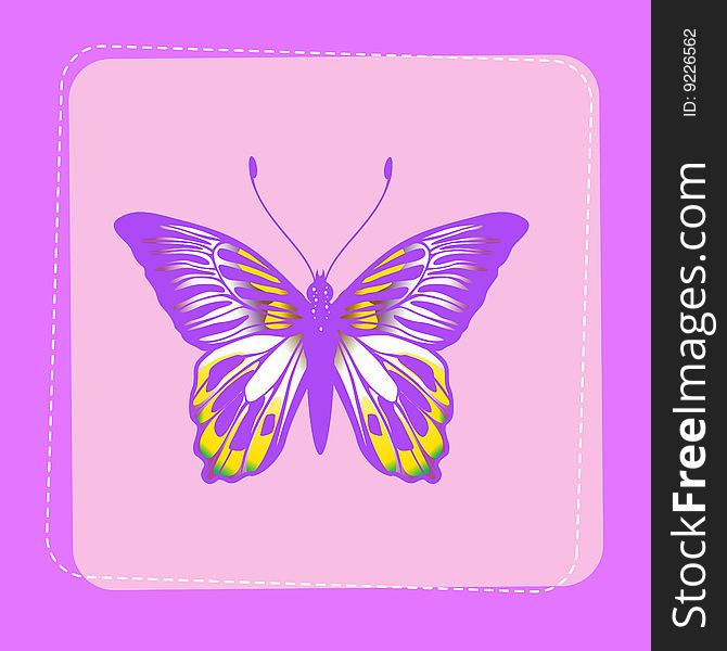 Vector Illustration of detailed Brightly coloured butterfly on funky violet background.
