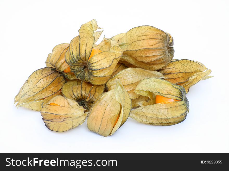 Group of physalis fruits with white background