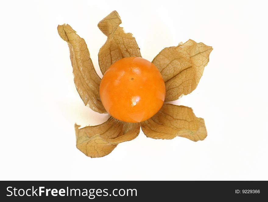 Physalis fruit with white background