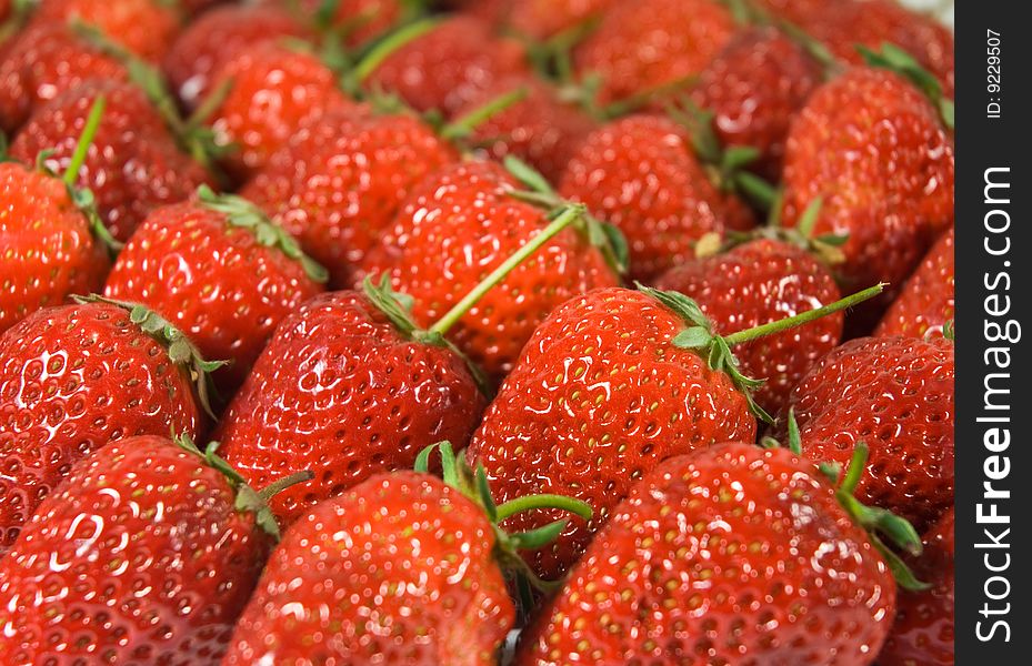 Group of fresh strawberry in rows. Group of fresh strawberry in rows