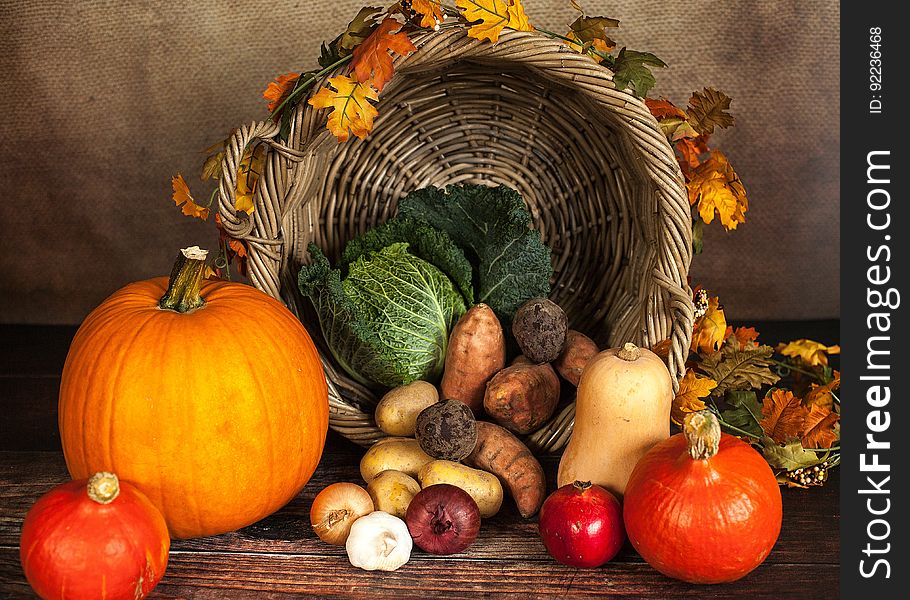 Autumn Gourds Still Life