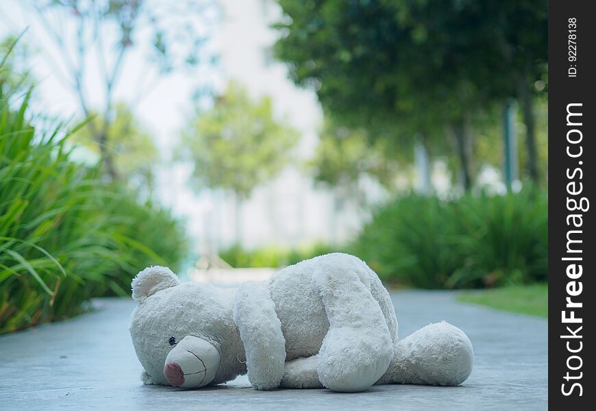 Lonely Teddy Bear sleeping on the walk way or road Concept about love. Lonely Teddy Bear sleeping on the walk way or road Concept about love