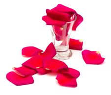 Shot Glass And Petals Stock Image Shot Glass And Petals Stock Image