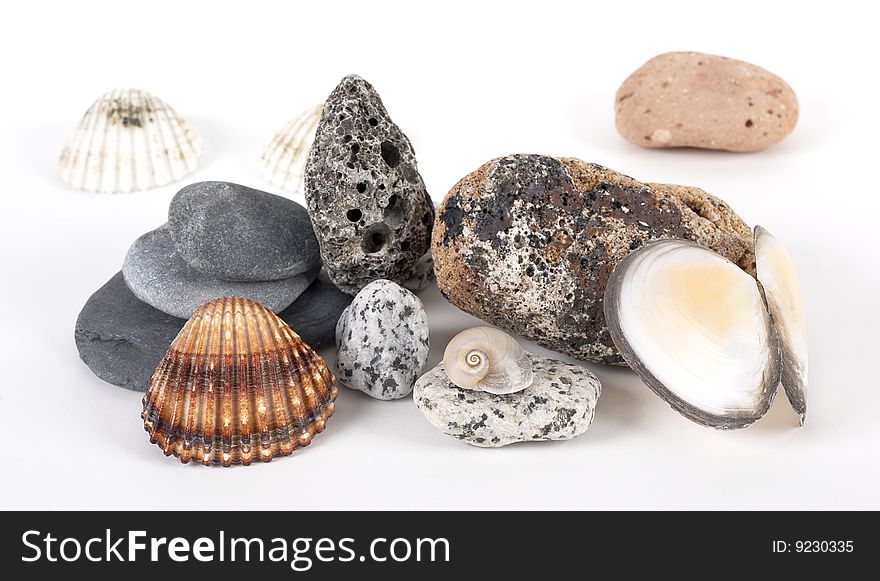 Still life of sea shells and stones