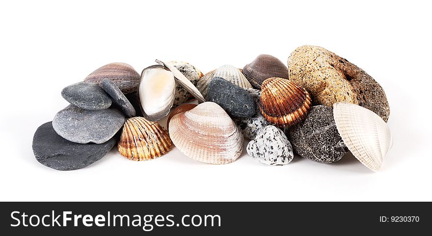 Still life sea shells and stones in horizontal