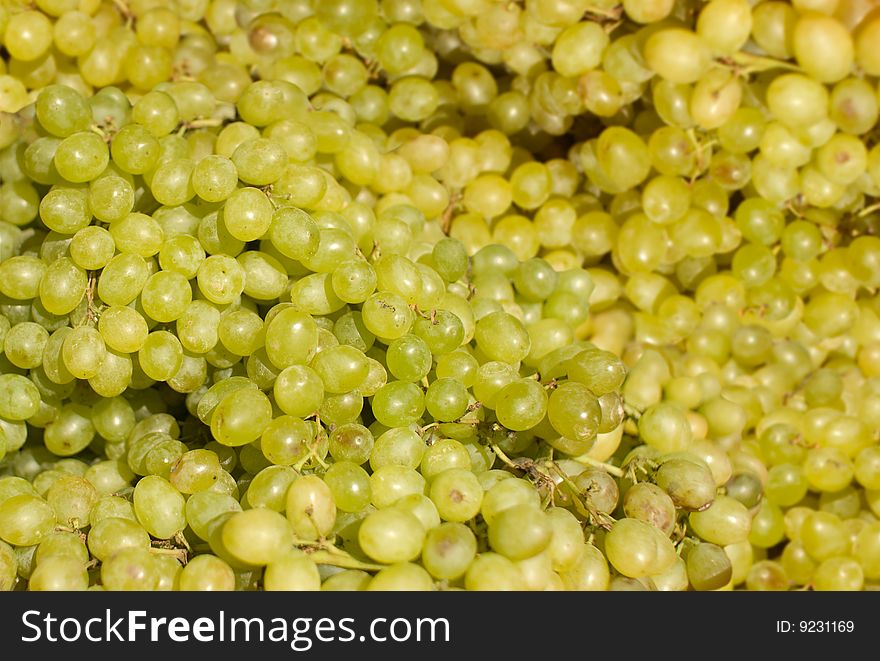 Bunch of refreshment  green grape