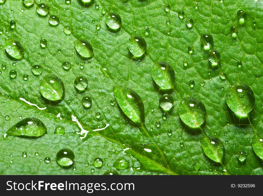 Structure of sheet with morning dew