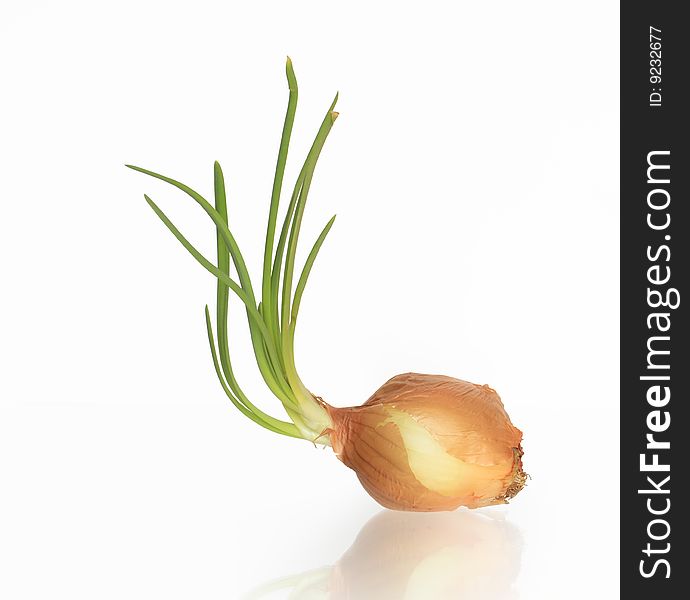 Nice onion isolated on white background with clipping path