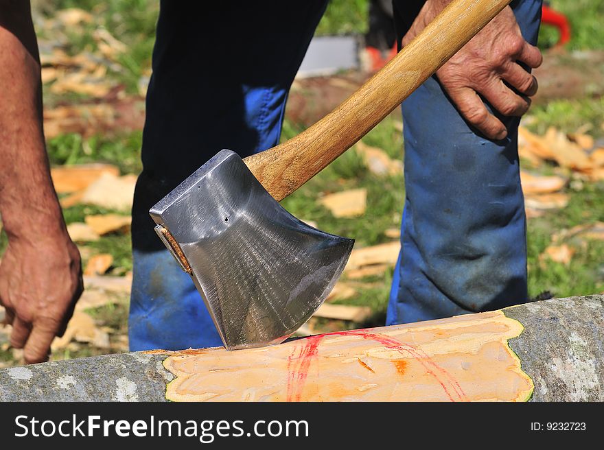 Close up of an axe, embedded in a beech log, before a logger starts chopping. Close up of an axe, embedded in a beech log, before a logger starts chopping