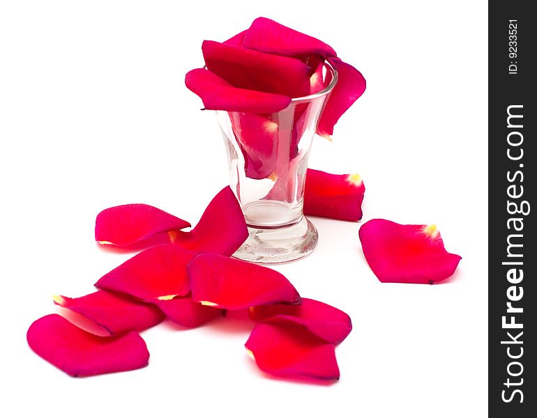 Shot Glass And Petals