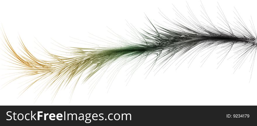 Fur worm or color feather isolated over white