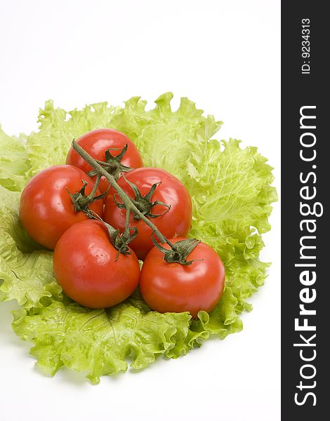 Group red tomato on leaf lettuce. Isolated over white background. Group red tomato on leaf lettuce. Isolated over white background.