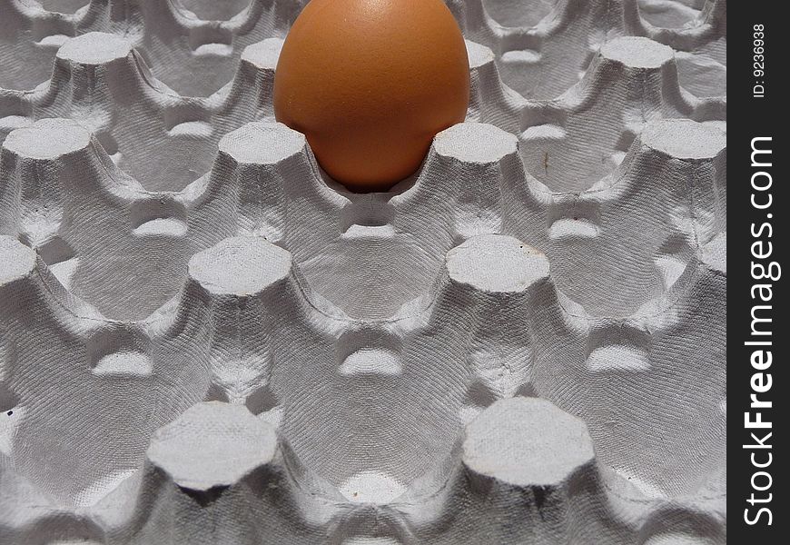 Photograph representing an insulated egg