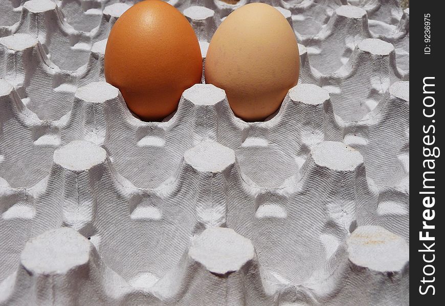 Photograph representing background of eggs