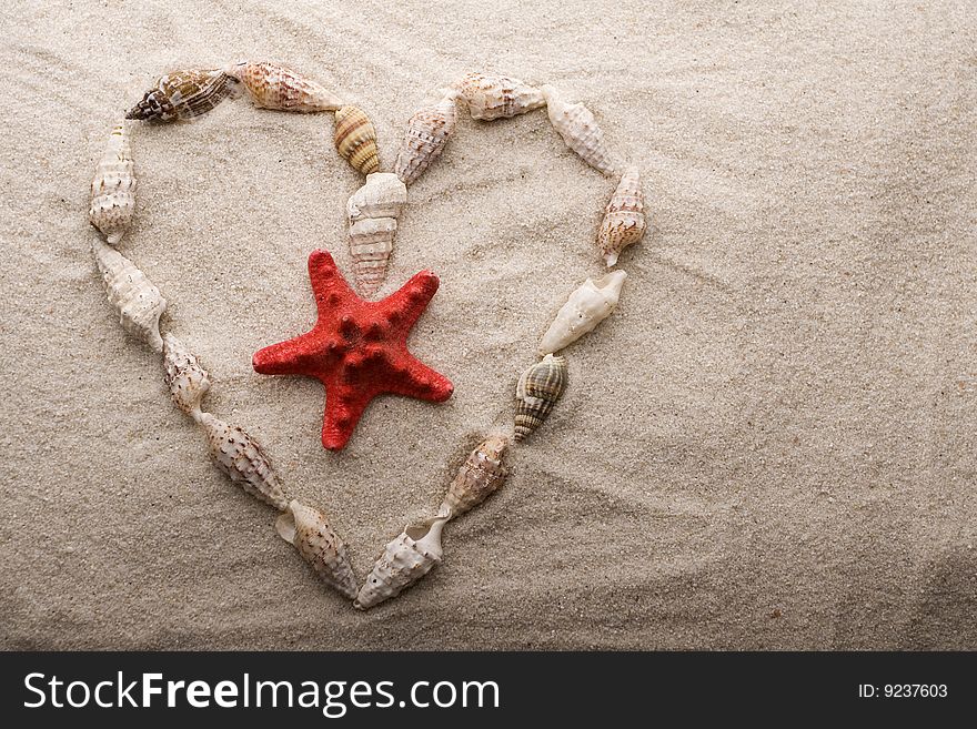 Shells On Sand