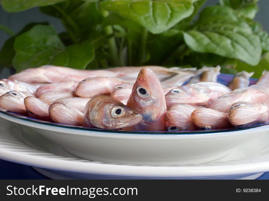 Fresh raw smelt laid out on a dish