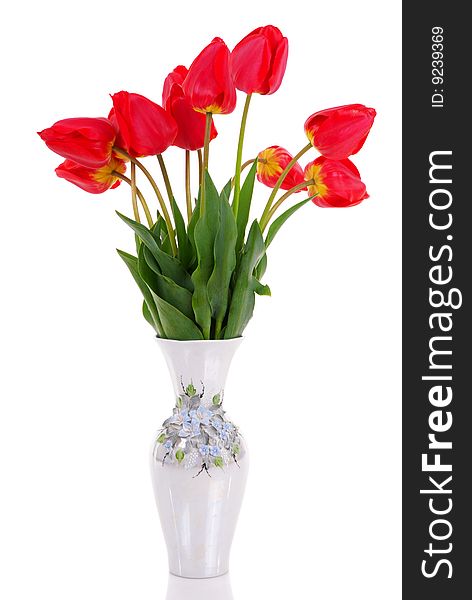 Bouquet of the fresh tulips isolated on white